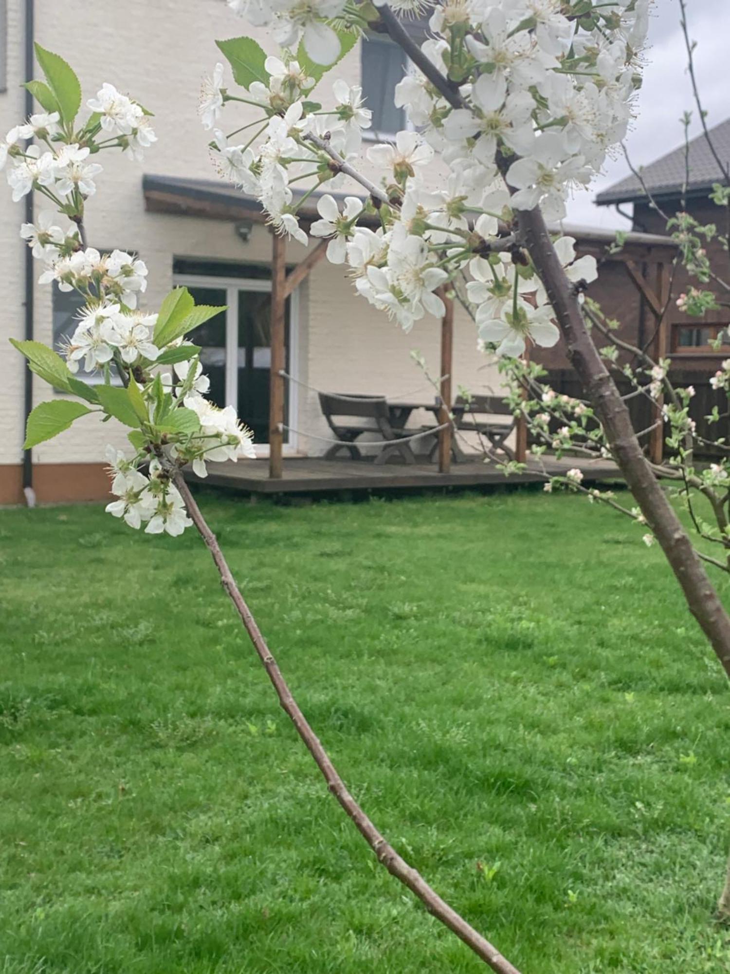 Pilaites Svetingi Namai Apartment VNO Exterior foto
